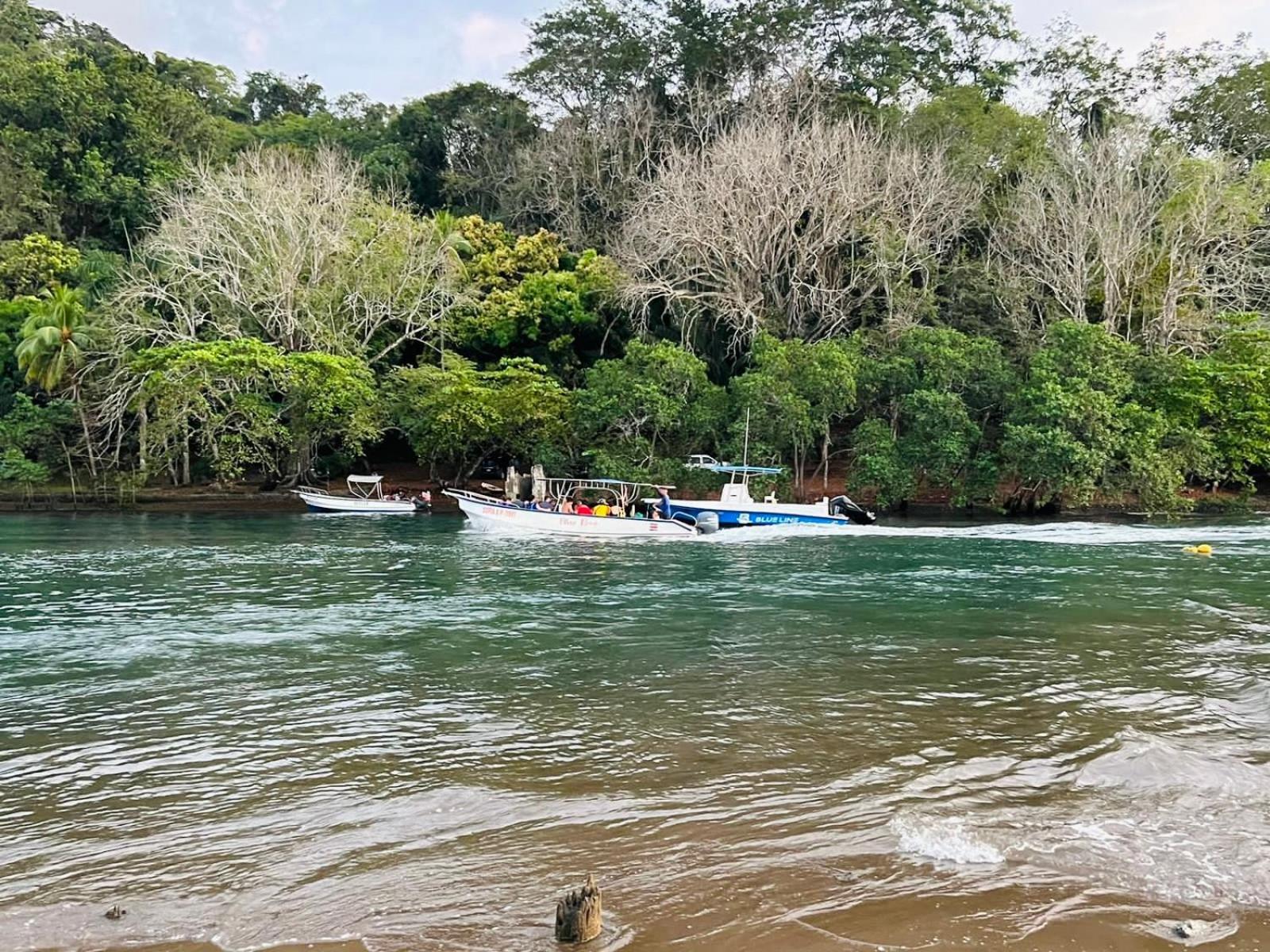 Las Casitas De Playa Pochote. Villa Bagian luar foto